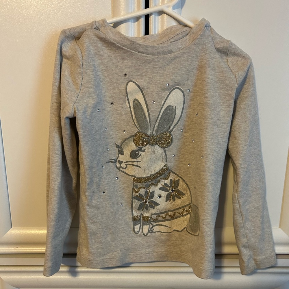 Gymboree Girl’s shirt